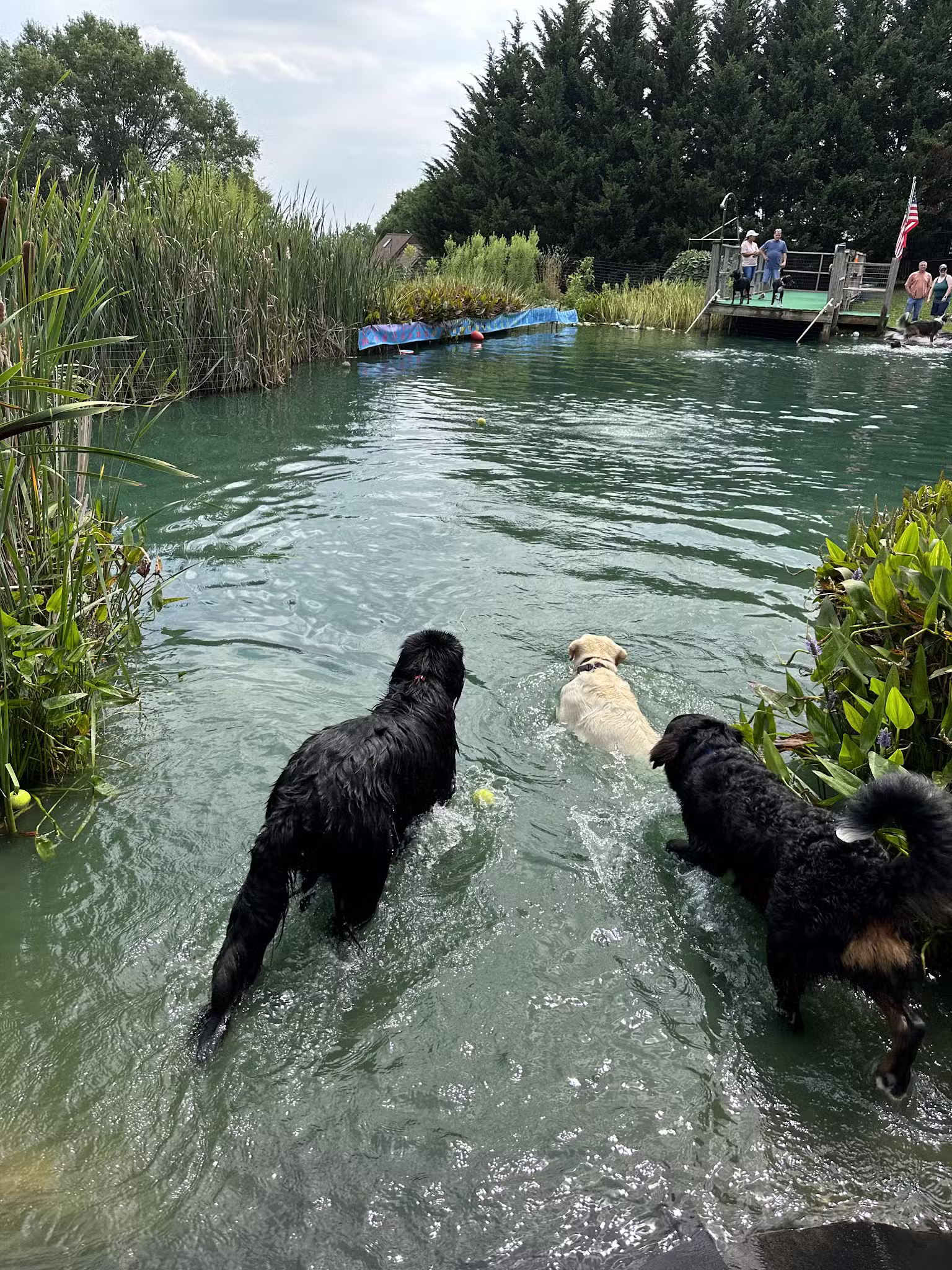 Barkby Plungers - York, PA