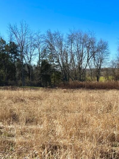 Quill Feather Farm - York Springs, PA