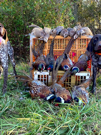 Quill Feather Farm - York Springs, PA