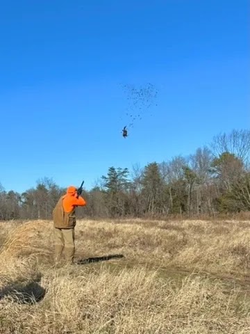Quill Feather Farm - York Springs, PA