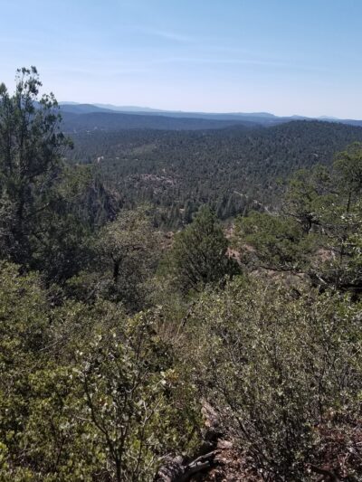 Alderwood Campground - Young, AZ