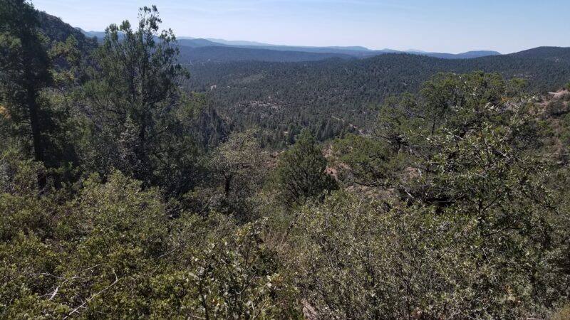 Alderwood Campground - Young, AZ