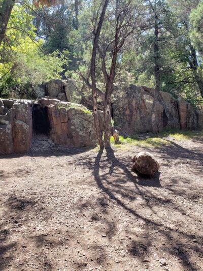 Alderwood Campground - Young, AZ