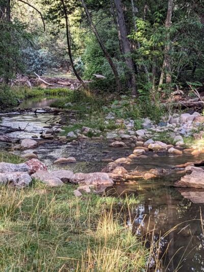Alderwood Campground - Young, AZ