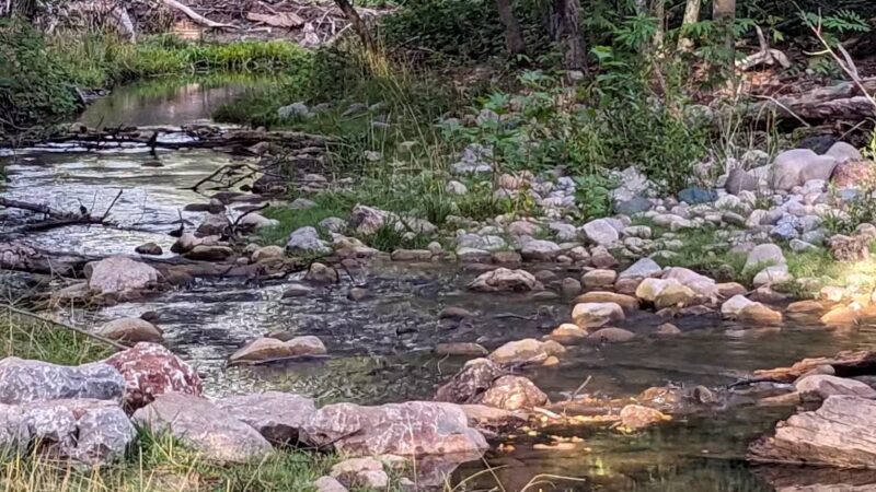 Alderwood Campground - Young, AZ