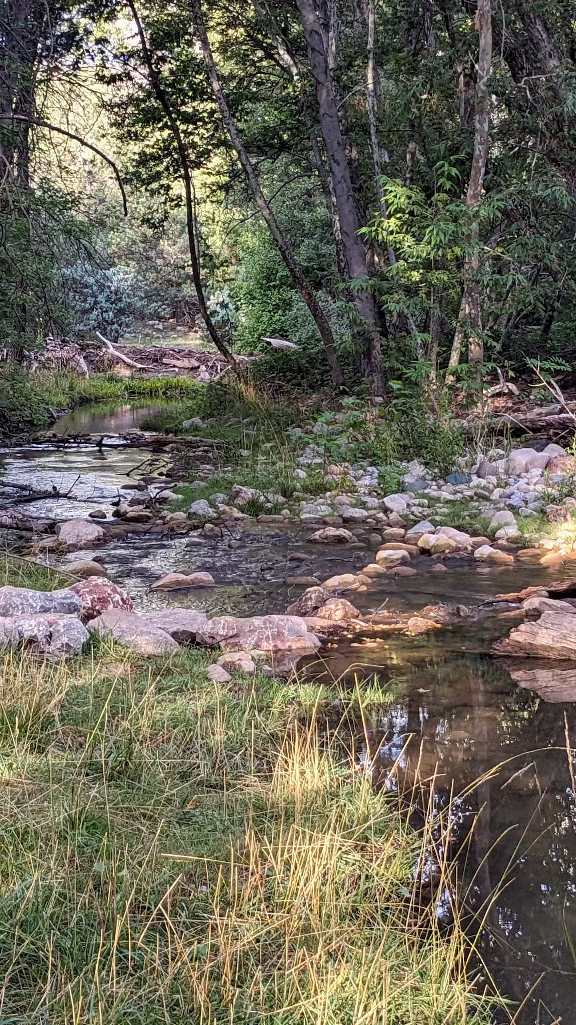 Alderwood Campground - Young, AZ