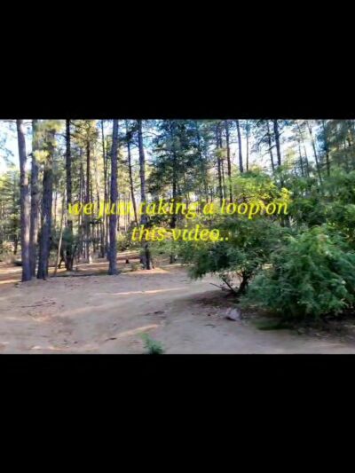 Sawmill Flats Campground - Young, AZ