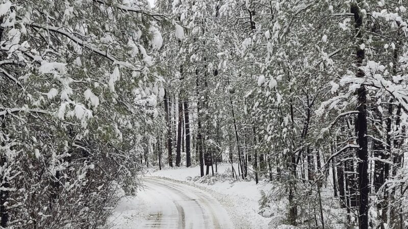 Sawmill Flats Campground - Young, AZ