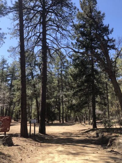 Sawmill Flats Campground - Young, AZ