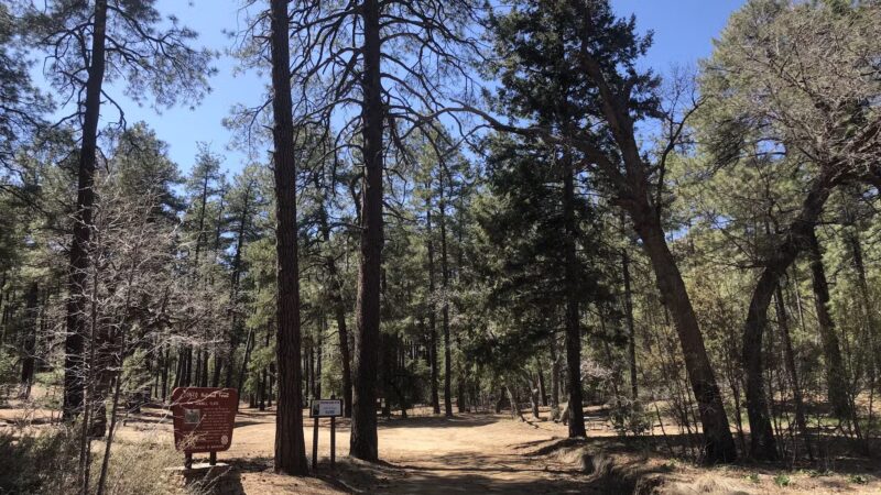 Sawmill Flats Campground - Young, AZ