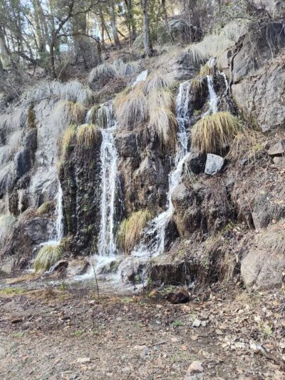 Workman Creek - Young, AZ