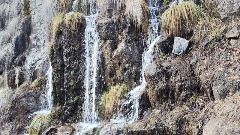 Workman Creek - Young, AZ