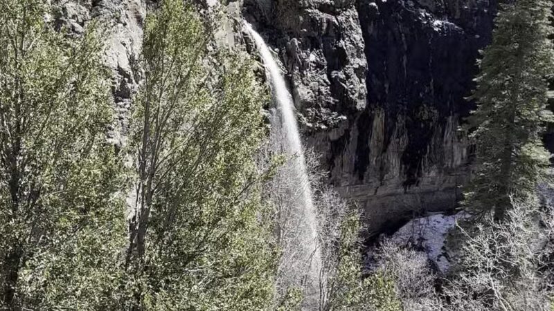 Workman Creek - Young, AZ