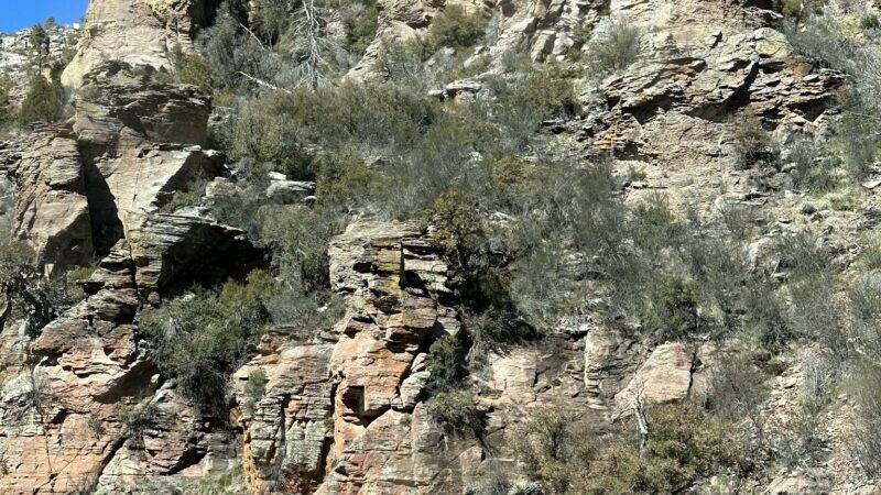 Workman Creek - Young, AZ