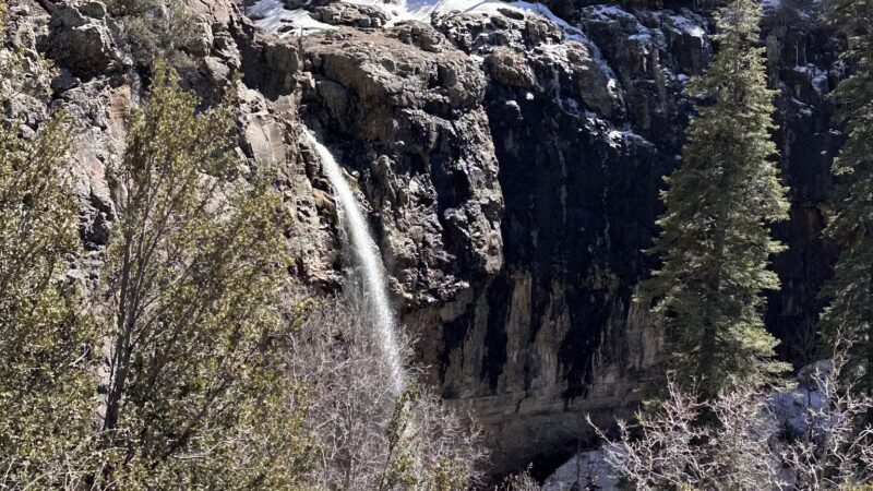 Workman Creek - Young, AZ