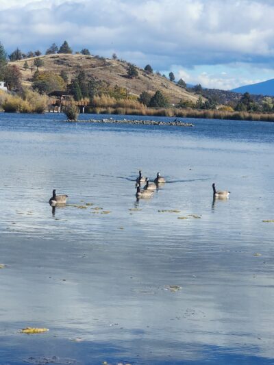 Greenhorn Park Reservoir Trail - Yreka, CA