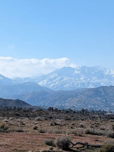 Dog Park - Yucca Valley, CA