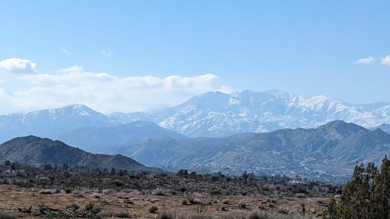 Dog Park - Yucca Valley, CA