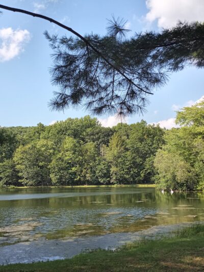 Red Ridge Lake Campgrounds - Zion Grove, PA