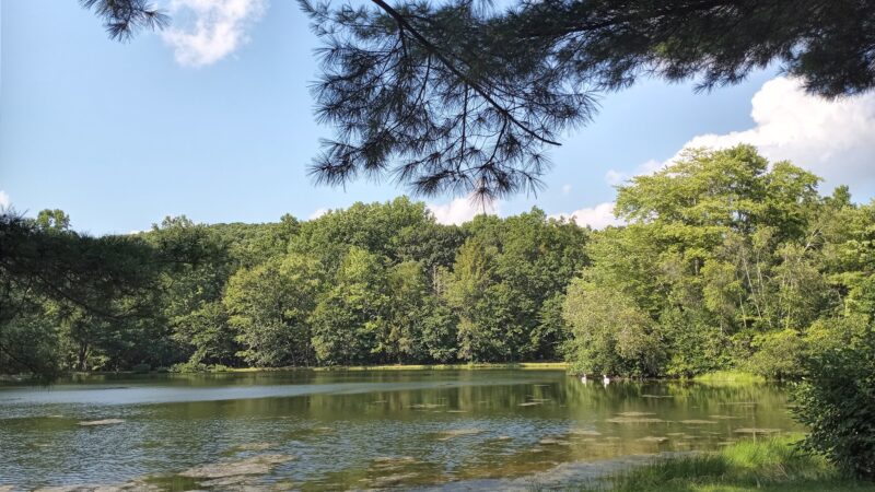 Red Ridge Lake Campgrounds - Zion Grove, PA