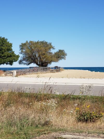 Illinois Beach State Park Parking Lot - Zion, IL