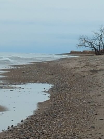 Illinois Beach State Park Parking Lot - Zion, IL