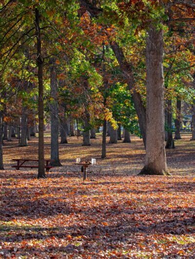 Shiloh Park - Zion, IL
