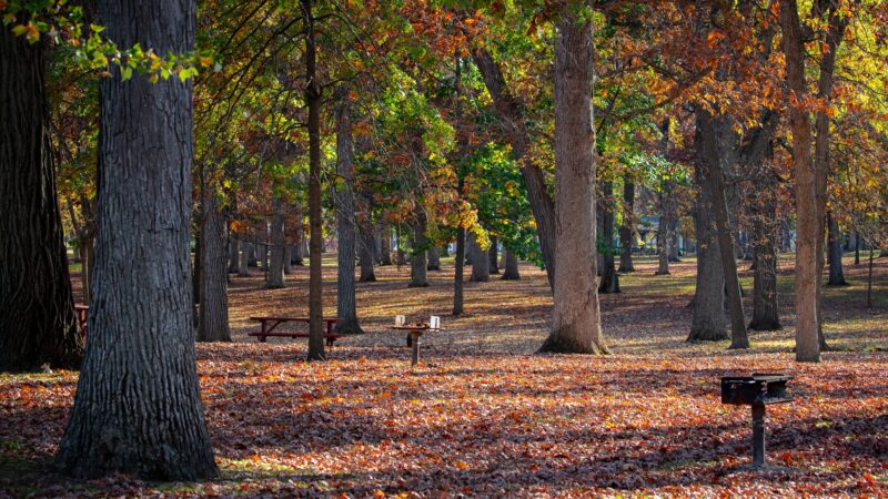 Shiloh Park - Zion, IL