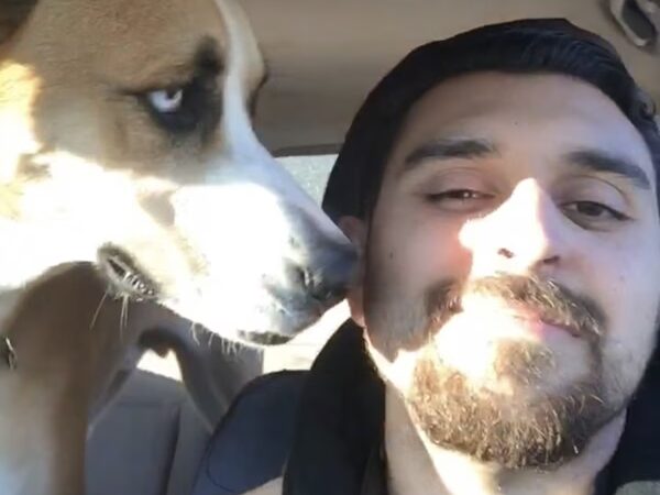 Aaron's Paw Patrol - ,