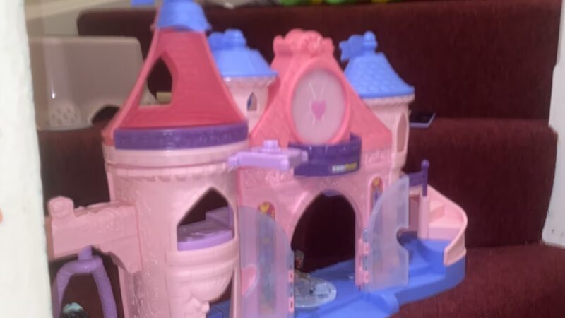 Aaron's Paw Patrol - ,