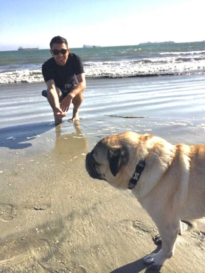 Aaron's Paw Patrol - ,