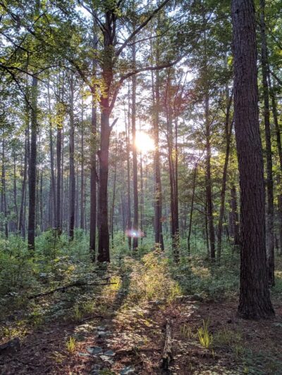 Long Cane Scenic Area - Abbeville, SC