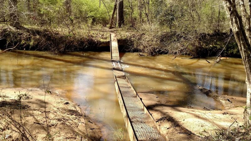 Long Cane Scenic Area - Abbeville, SC