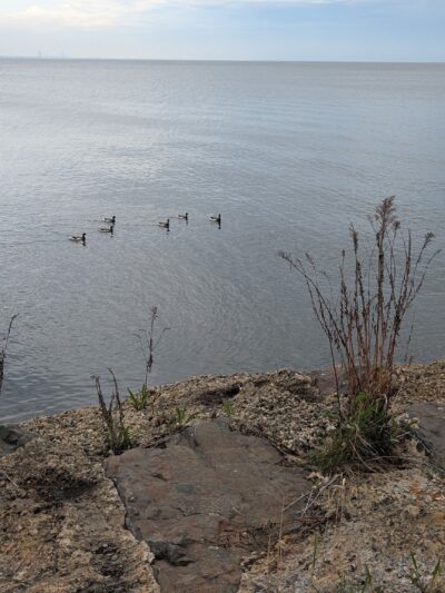 Aberdeen Sea Wall Trailhead - Aberdeen Township, NJ
