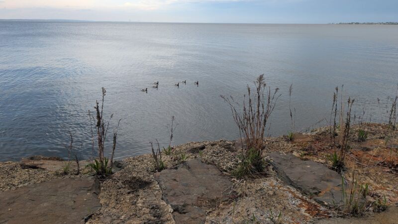 Aberdeen Sea Wall Trailhead - Aberdeen Township, NJ
