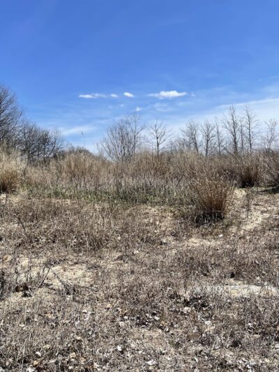 Aberdeen Sea Wall Trailhead - Aberdeen Township, NJ
