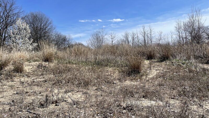 Aberdeen Sea Wall Trailhead - Aberdeen Township, NJ
