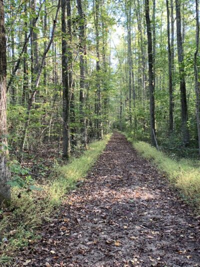 Freneau Woods Park - Aberdeen Township, NJ