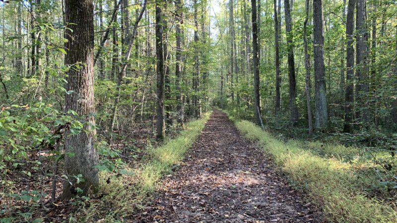 Freneau Woods Park - Aberdeen Township, NJ