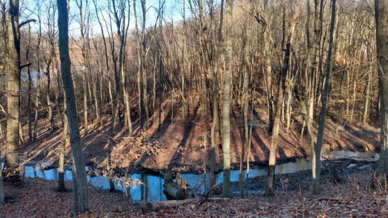 Freneau Woods Park - Aberdeen Township, NJ