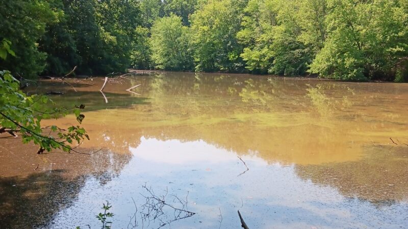Freneau Woods Park - Aberdeen Township, NJ