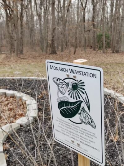 Freneau Woods Park - Aberdeen Township, NJ