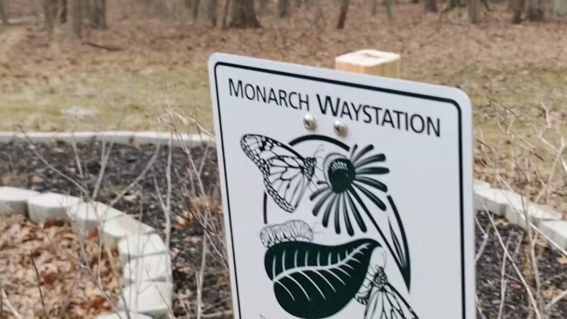 Freneau Woods Park - Aberdeen Township, NJ