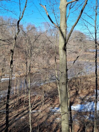 Freneau Woods Park - Aberdeen Township, NJ