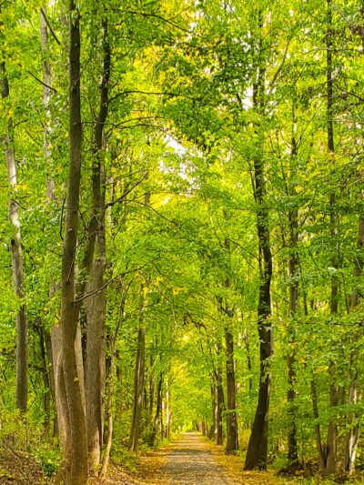 Henry Hudson Bike Trail - Aberdeen Township, NJ