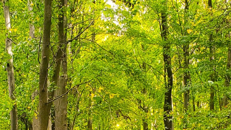 Henry Hudson Bike Trail - Aberdeen Township, NJ
