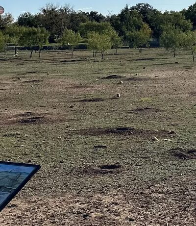 Prairie Dog Preserve - Abilene, TX