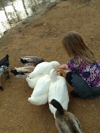 Bartow County Parks & Recreation - Adairsville, GA