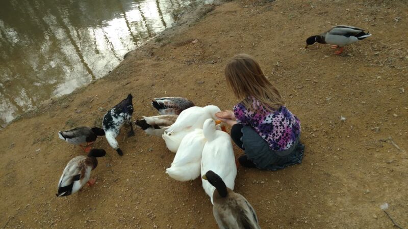 Bartow County Parks & Recreation - Adairsville, GA