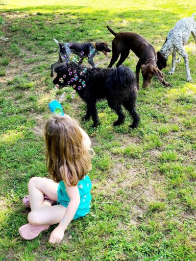 Hanson Hill Farm - Adairsville, GA